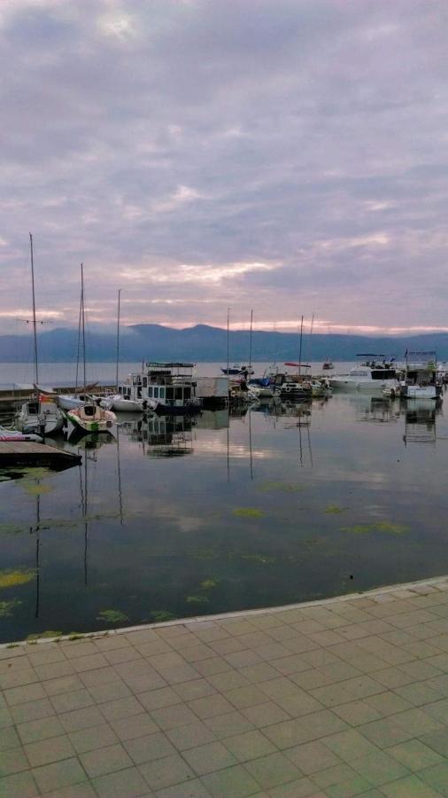 Apartmani Nina Golubac Εξωτερικό φωτογραφία